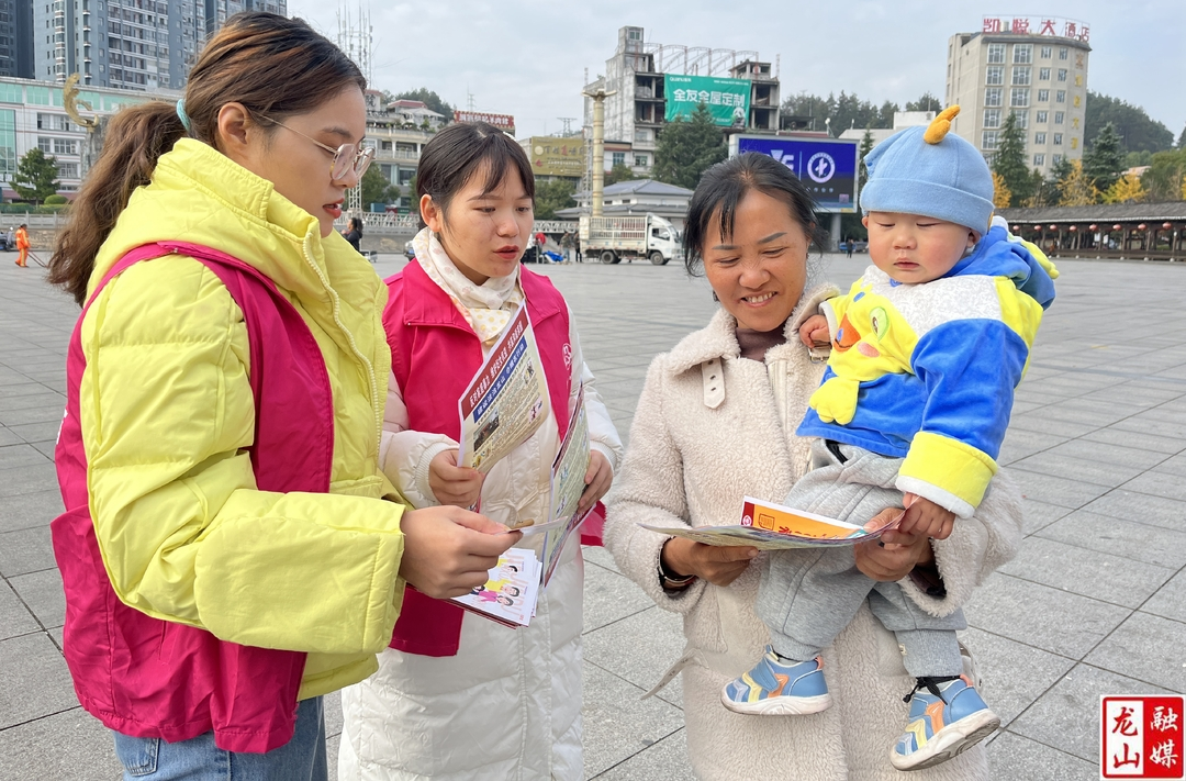 县妇联开展“国际反家庭暴力日”主题宣传活动