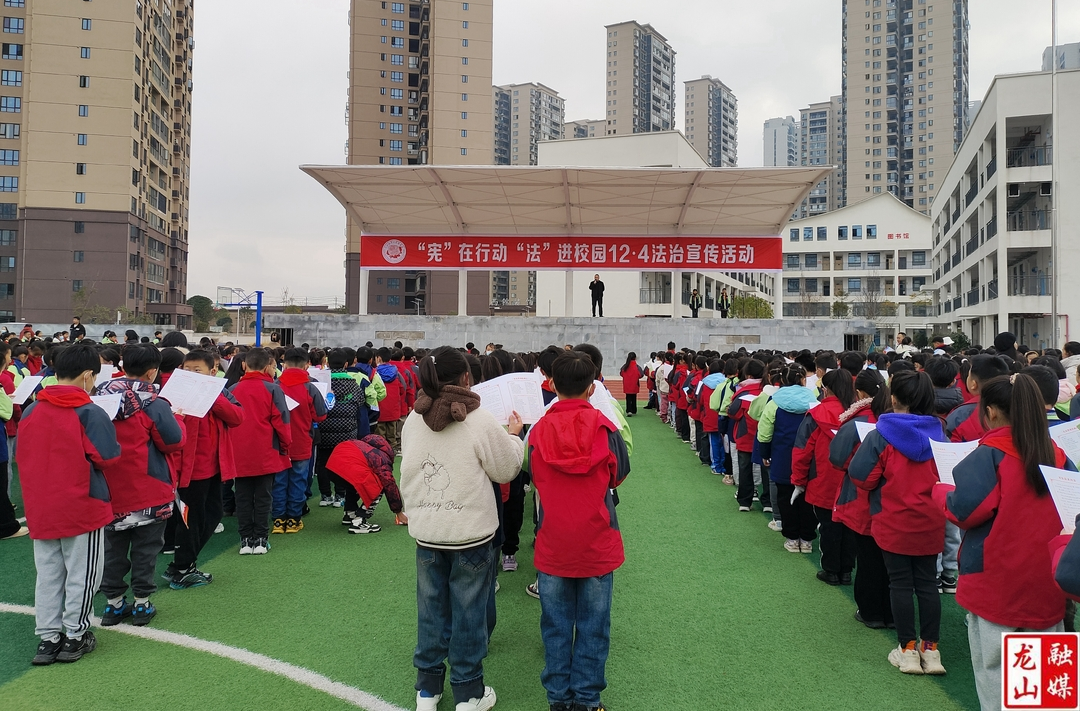 全国宪法日：宪法晨读“声”入人心 师生与法同行