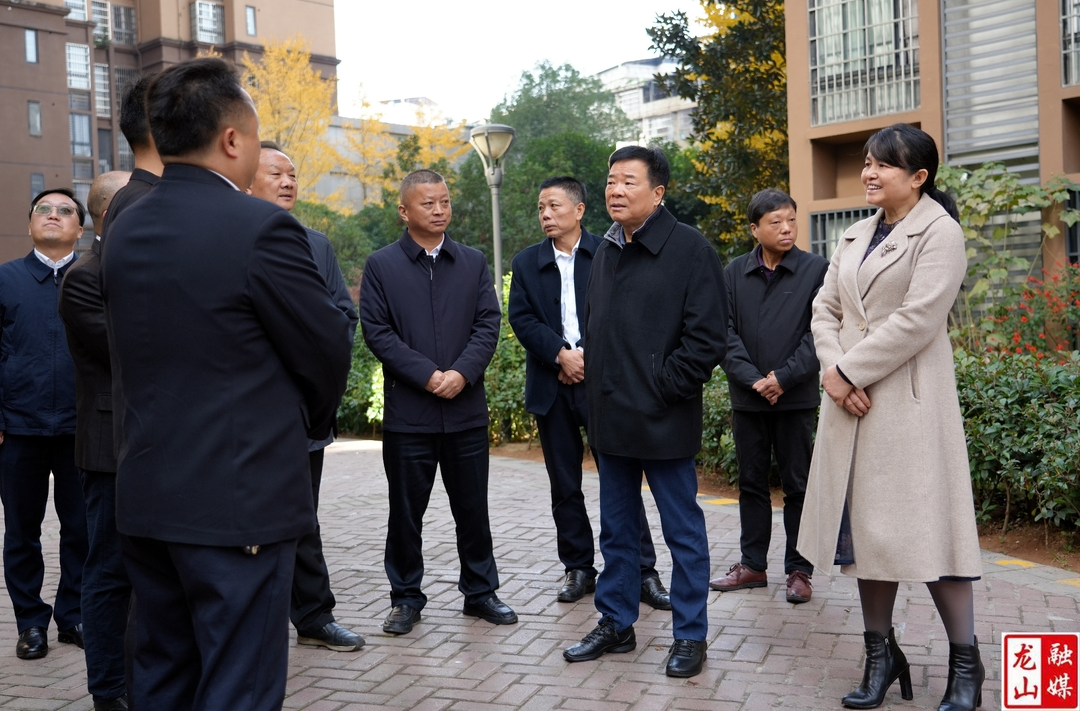 陈飞到龙山调研基层立法联系点建设工作