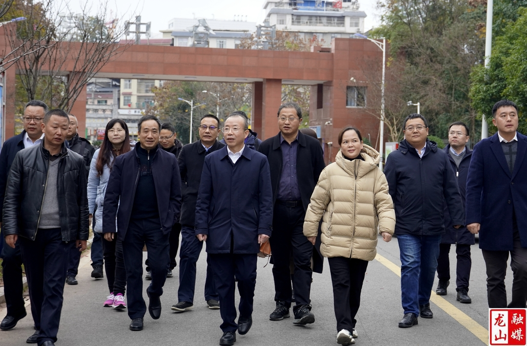 黎奇升一行到龙山开展科技服务考察调研
