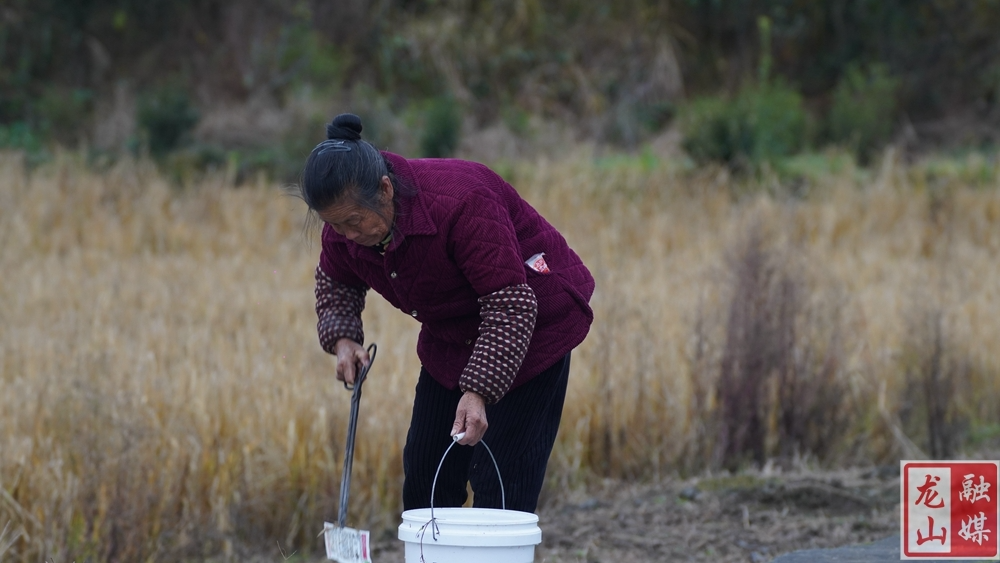 县农业农村局：农药废弃物回收 营造良好农业生态环境