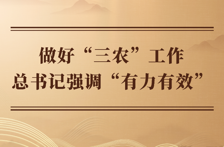 第一观察｜做好“三农”工作 总书记强调“有力有效”