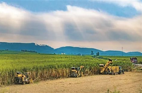 时政微观察丨推进乡村全面振兴是“三农”工作总抓手