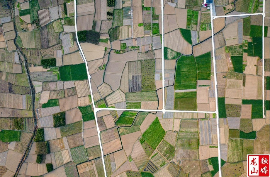 龙山县：党建引领促发展  乡村振兴展画卷