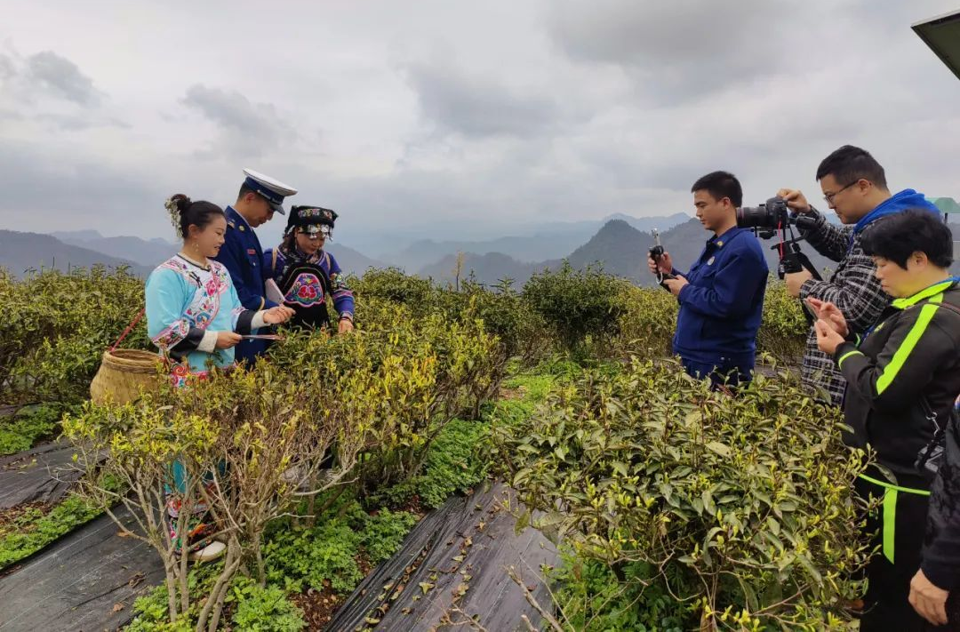 以“红色”赋能“网络文化节” 讲好湘西精彩故事