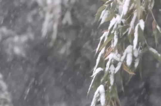 今年首次大范围雨雪过程开启 预计持续到哪天？一文了解