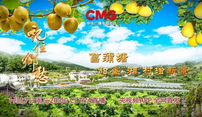 “湘”村菖蒲塘：从贫困村到水果乡，在不断优化中飞速发展