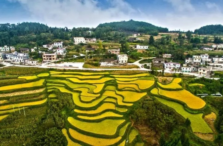 2024年中央一号文件公布 提出推进乡村全面振兴“路线图”