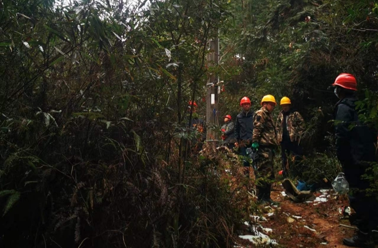 龙山县：部门联动保春节电力畅通