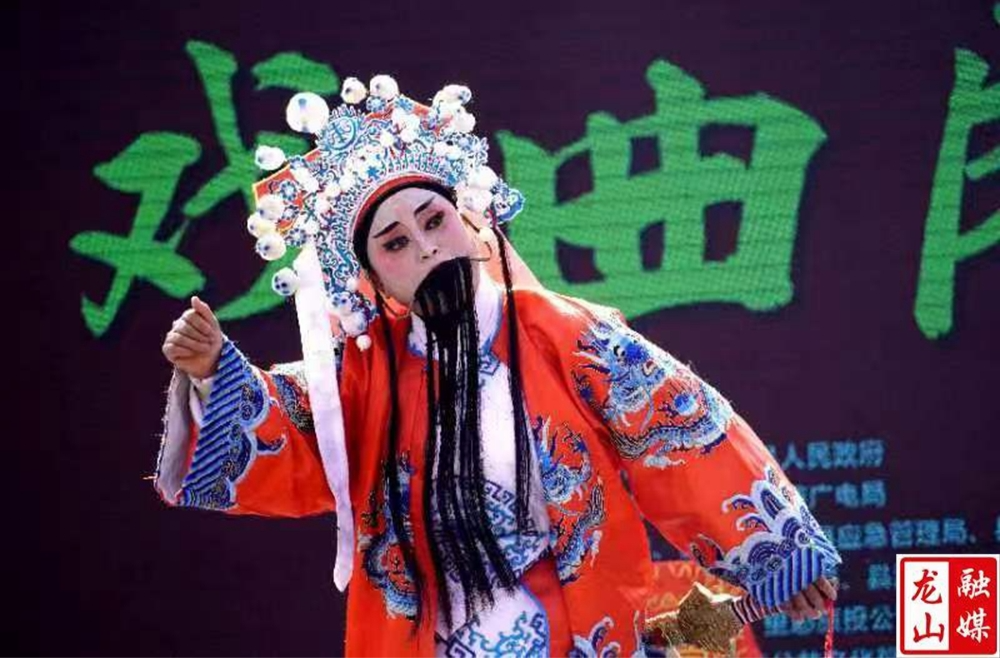 龙山：好戏连台庆新春 文化惠民进万家