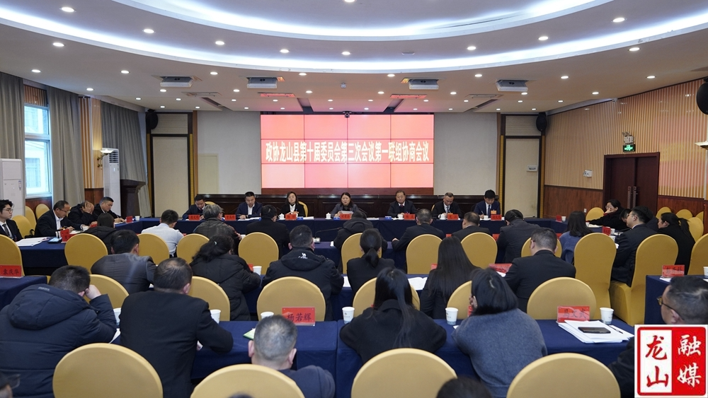 【聚焦两会】时荣芬参加政协龙山县第十届委员会第三次会议第一联组协商会议