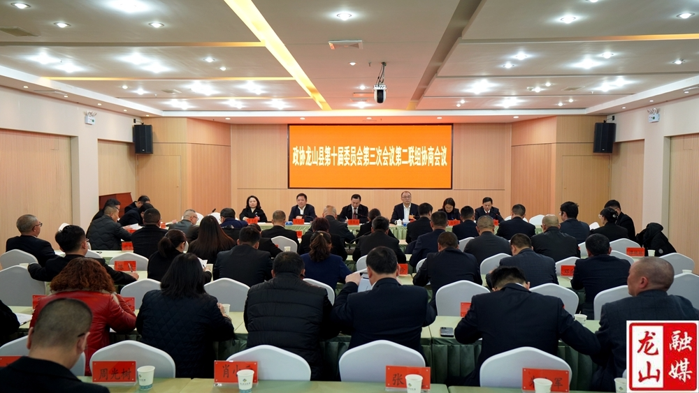 【聚焦两会】周胜益参加政协龙山县第十届委员会第三次会议第二联组协商会议