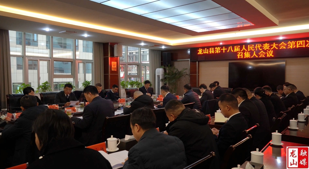 【聚焦两会】龙山县第十八届人民代表大会第四次会议各代表团召集人会议召开