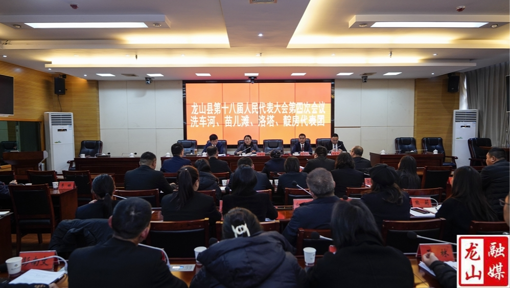 【聚焦两会】时荣芬参加龙山县第十八届人民代表大会第四次会议部分代表团审议