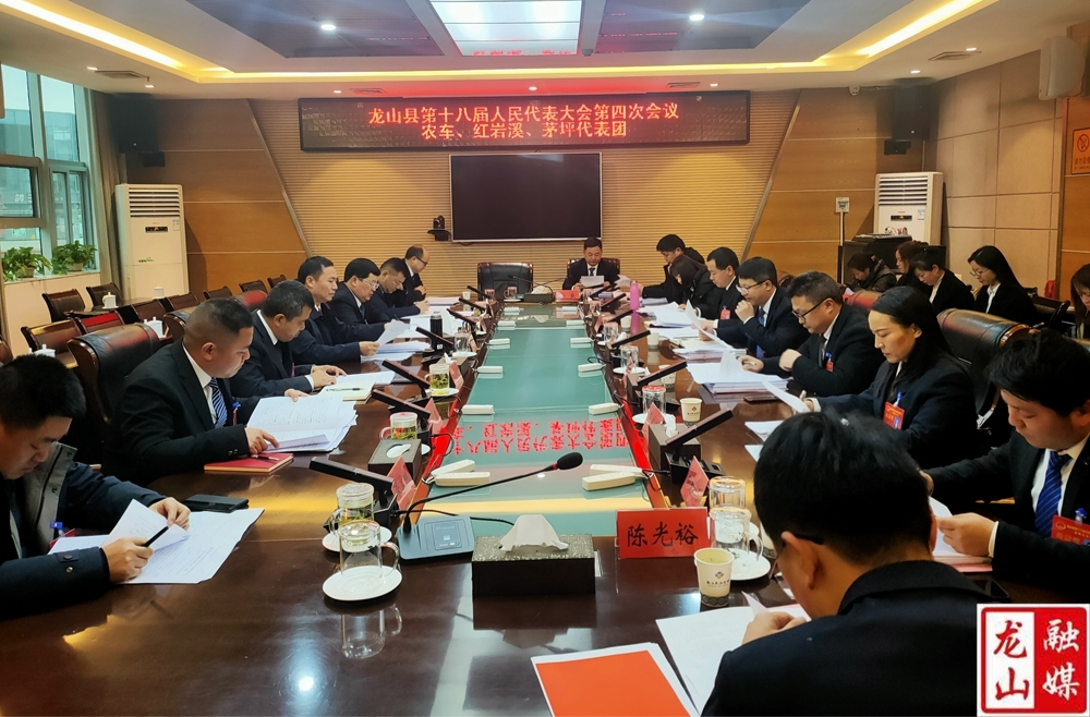 【聚焦两会】农车、红岩溪、茅坪代表团召开全体会议