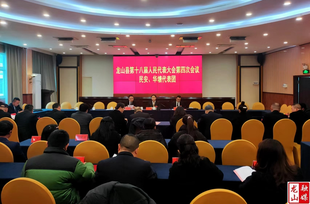 【聚焦两会】县人大第十八届第四次会议各代表团召开全体会议