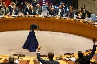 美国再次否决加沙停火决议草案 巴勒斯坦总统府及多方表示谴责