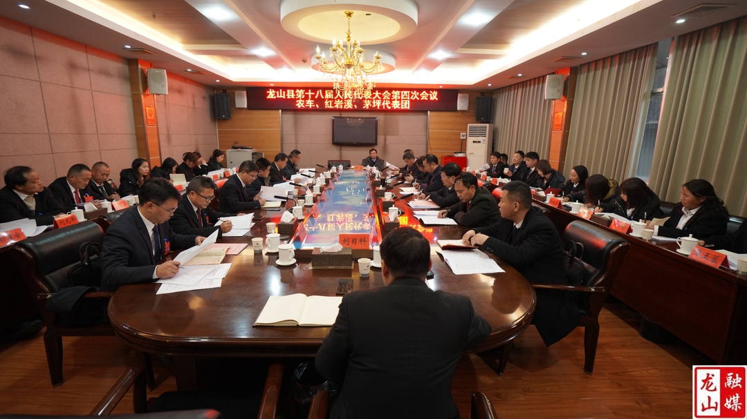 【聚焦两会】周胜益参加龙山县第十八届人民代表大会第四次会议部分代表团审议