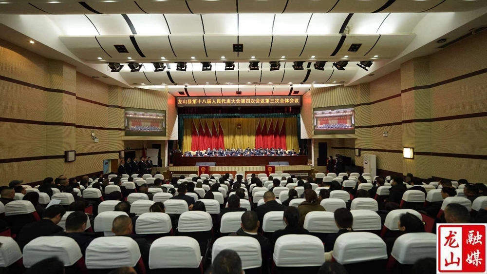 【聚焦两会】龙山县第十八届人民代表大会第四次会议举行第三次全体会议