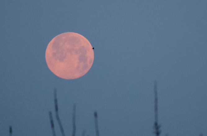 星空有约丨元宵月恰逢“最小满月”，值得一看！