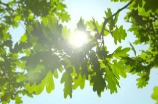 春天真来了？长沙气温将直冲22°C