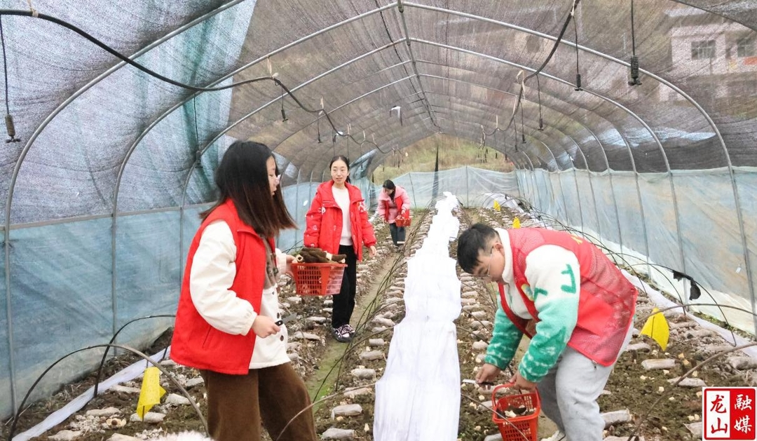 雷锋家乡学雷锋  ——爱心助农在行动