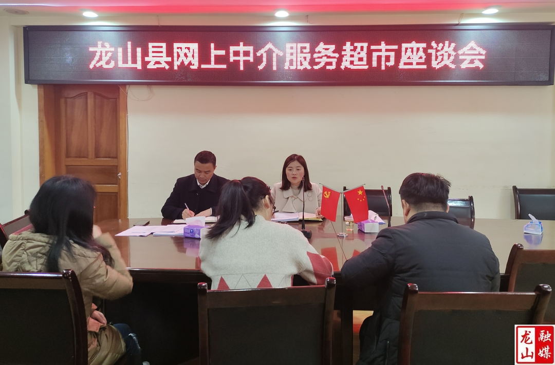 龙山县开展网上中介超市调研活动