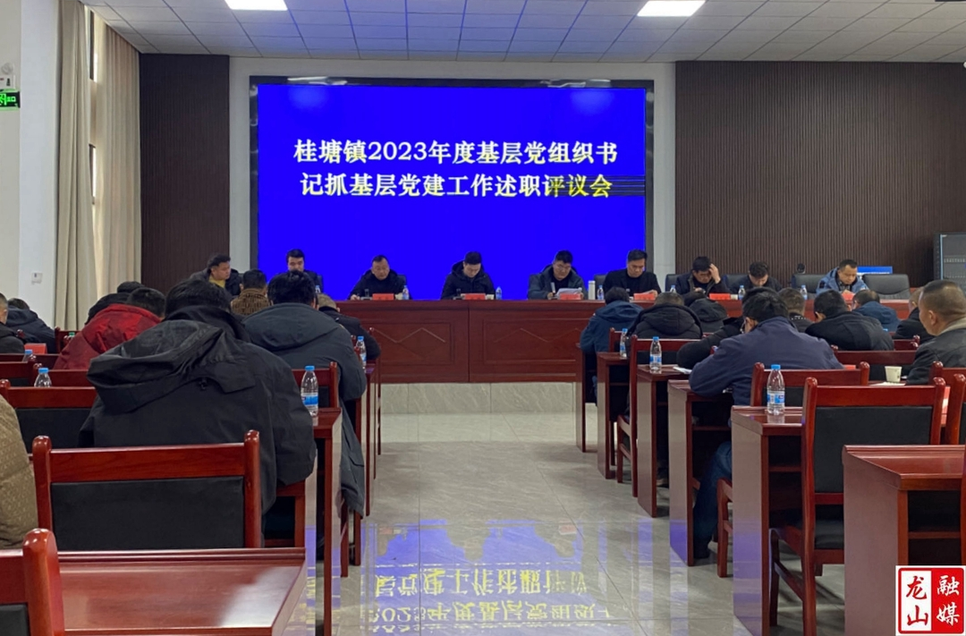 桂塘镇召开2023年度基层党组织书记抓基层党建工作述职评议会