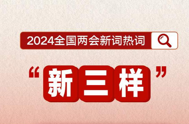 2024年全国两会新词热词