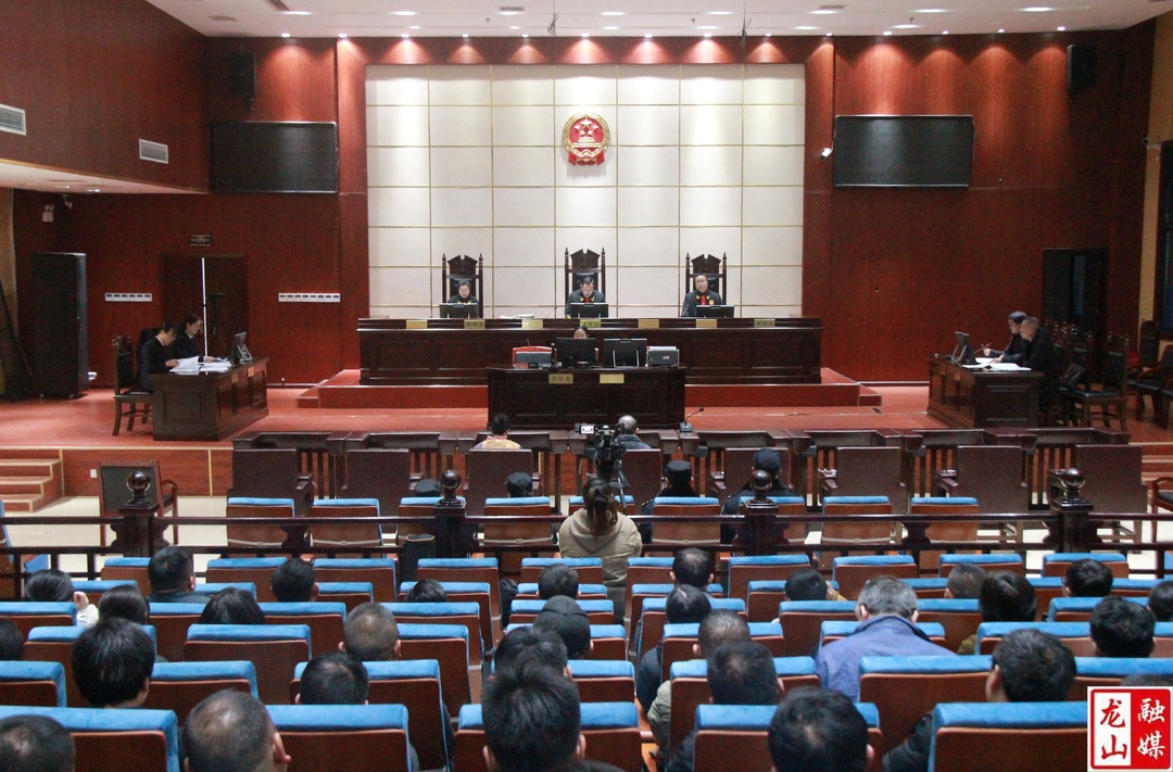 龙山法院：法检“两长”同庭履职 用“典型案”警示教育“身边人”