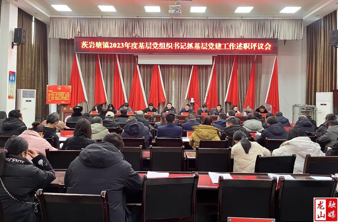 茨岩塘镇：以“述”亮成绩 以“评”促实干