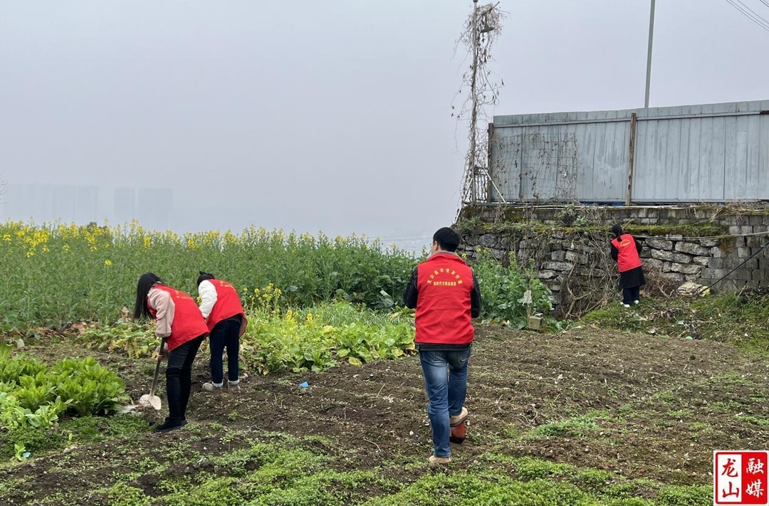 县农业农村局：学习雷锋精神 助力春耕生产