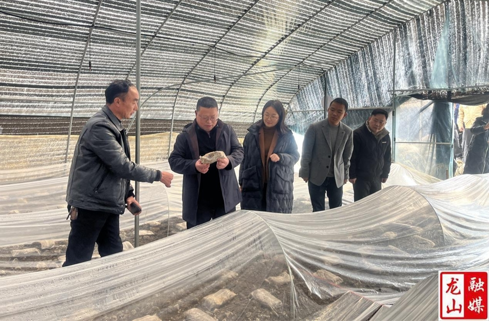 田世忠、尚晓琴一行到内溪乡开展“四进”活动