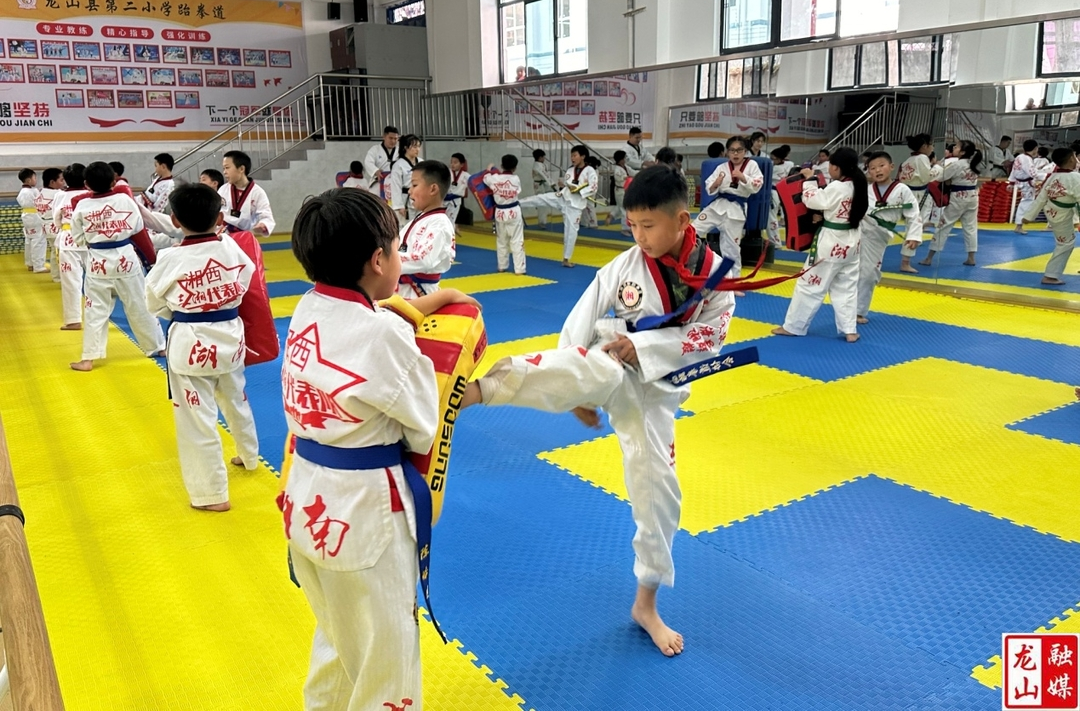 第二小学接受湖南省跆拳道项目试点校评审考核