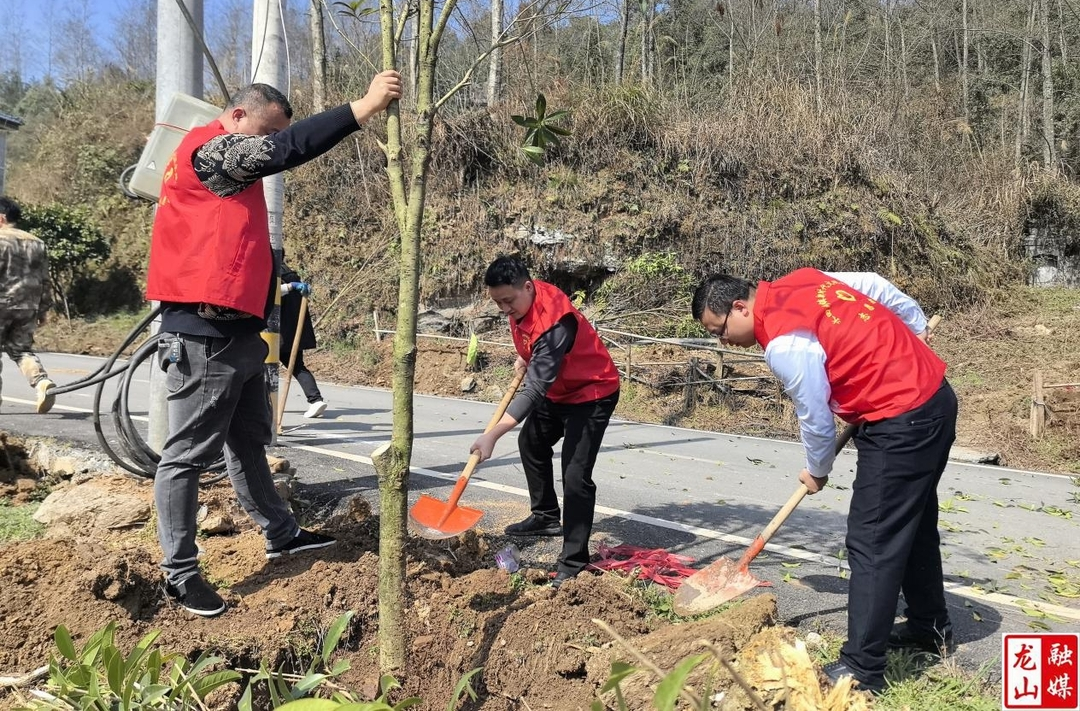 水田坝镇举行“同栽团结树 共建同心林”植树节活动