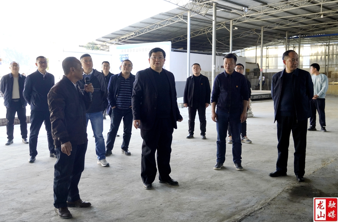 黎新松调研乡村振兴示范区（片）建设工作