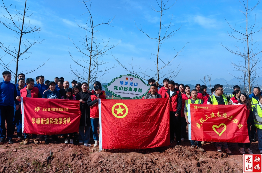 团县委开展植树节志愿服务活动