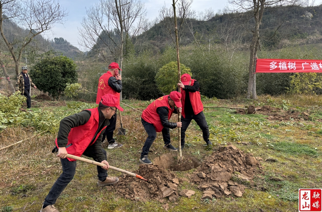 兴隆街道：春风催新绿 植树正当时