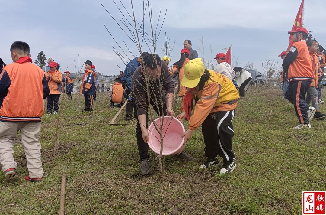 民安街道红星村联合第一芙蓉学校开展植树活动