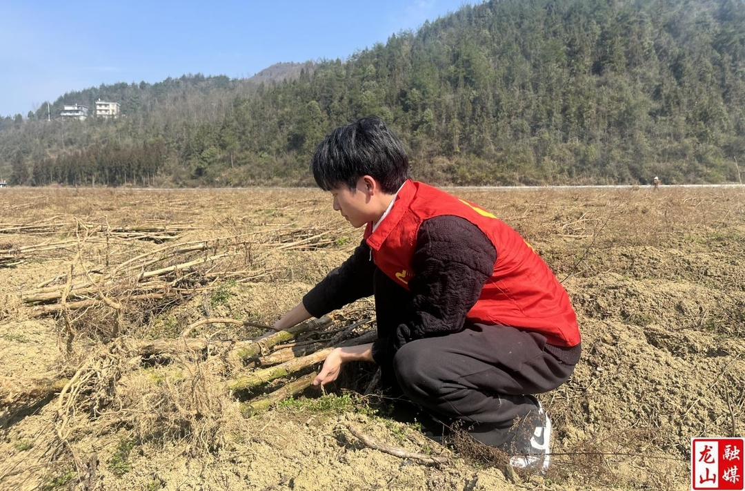 茨岩塘镇开展志愿服务活动