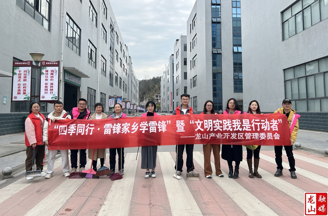 龙山产业开发区开展学雷锋志愿服务活动