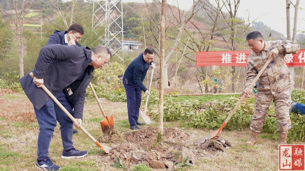 龙山县开展“3.12”义务植树活动