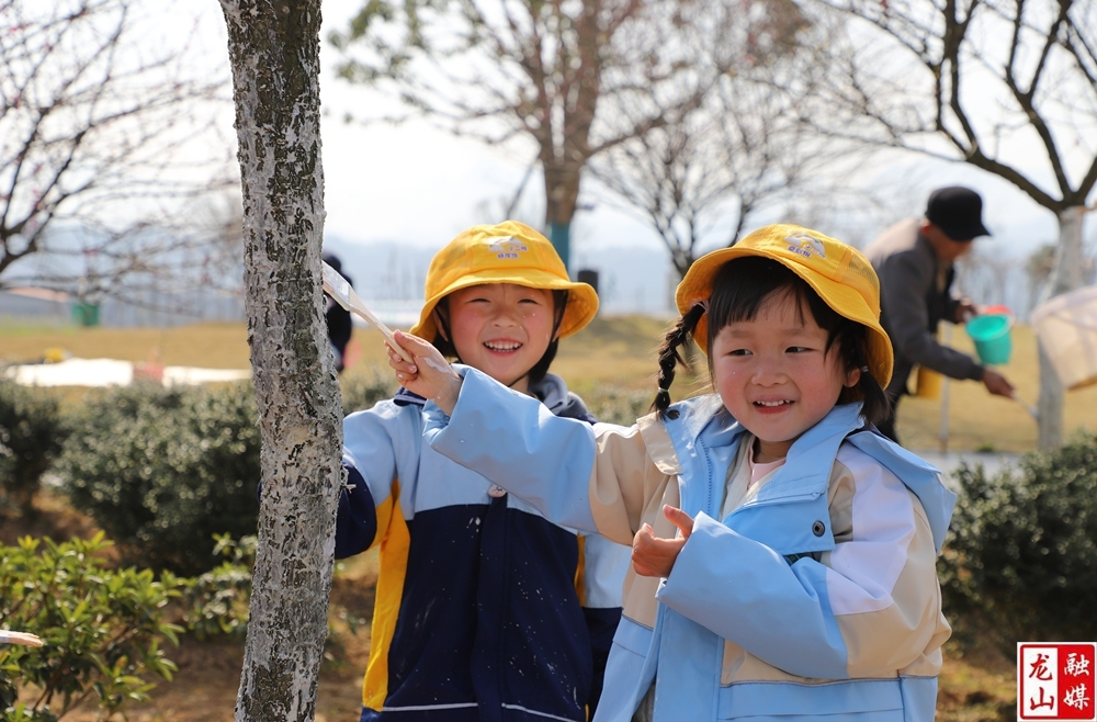 雨花幼儿园：约会春天 正“植”有你