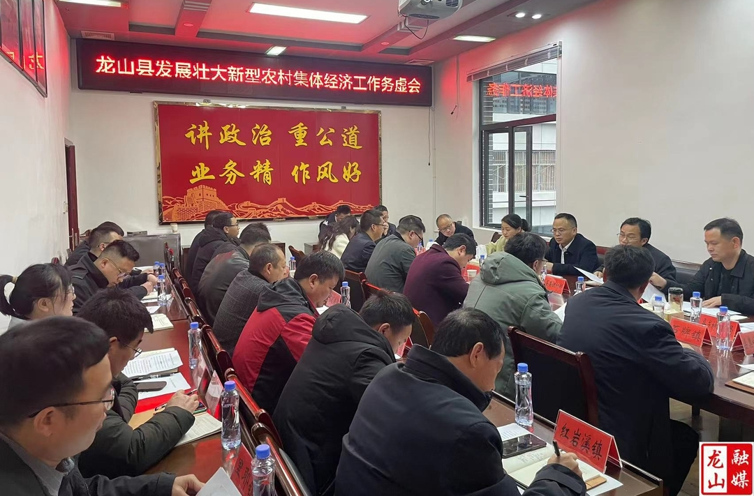 龙山县召开发展壮大新型农村集体经济工作务虚会议
