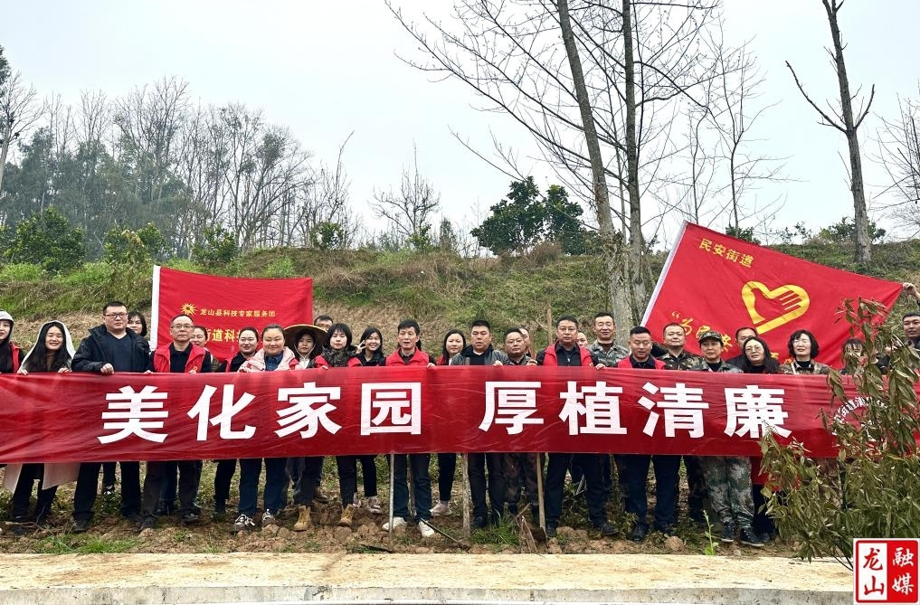 民安街道开展“美化家园 厚植清廉” 义务植树活动