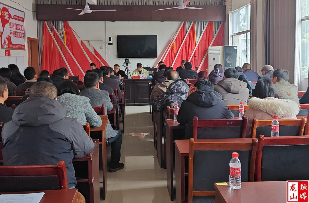 洗洛镇召开基层党组织书记述职评议会