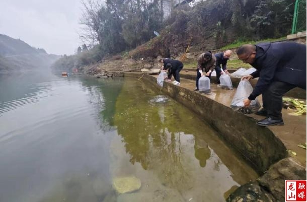 靛房镇开展生态修复增殖放流活动
