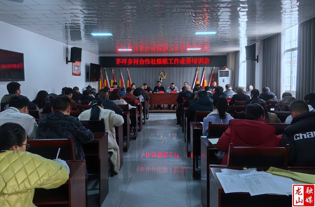 茅坪乡召开2024年村合作社报账工作业务培训会