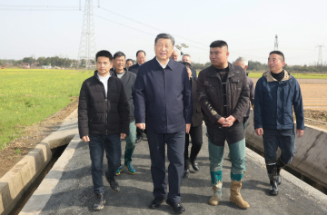 独家视频丨粮食安全 中国饭碗 总书记心中的“国之大者”