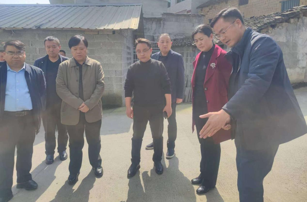 杨彦芳到凤凰督导生态环境领域工作